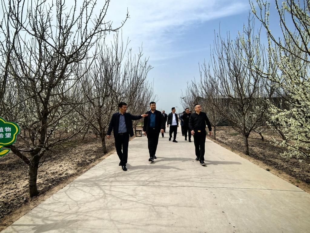 suncitygroup太阳集团